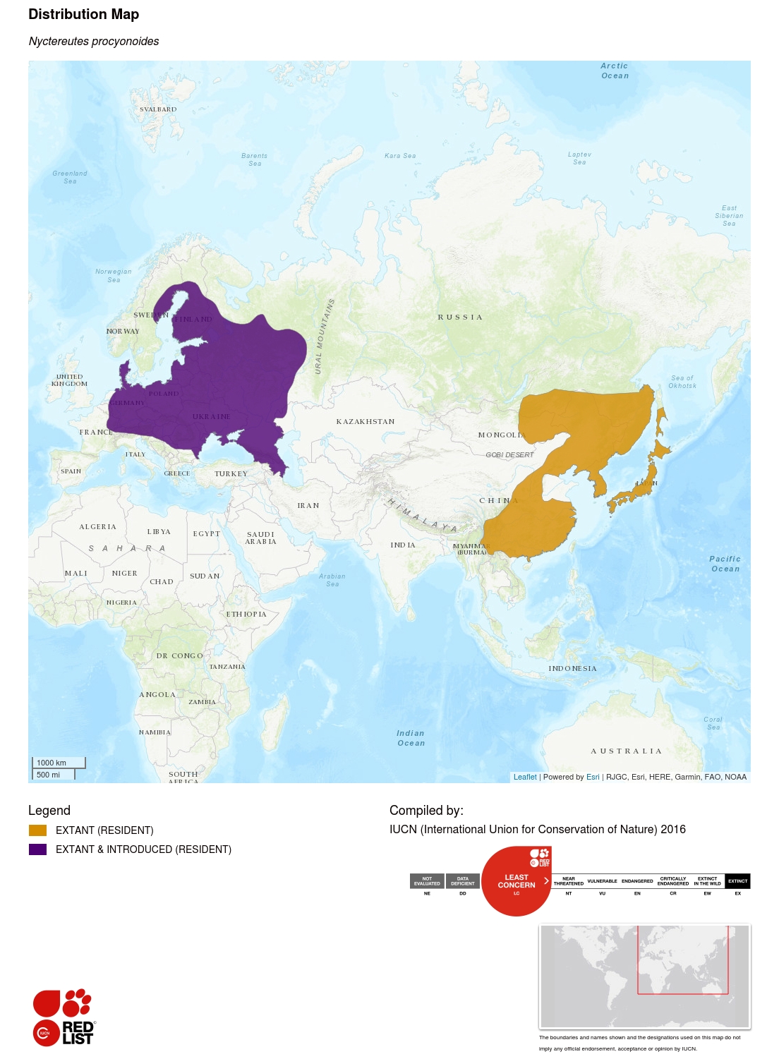 where do japanese raccoon dogs live